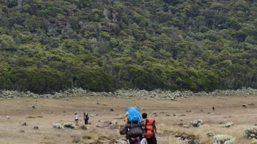 Anti-Tersesat! 6 Fakta Gelang RFID, Syarat Wajib Baru Mendaki Gunung Gede Pangrango