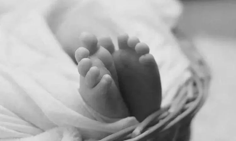 Penemuan Mayat Bayi di Cengkareng Drain: Petugas Sempat Mengira Boneka di Tumpukan Sampah