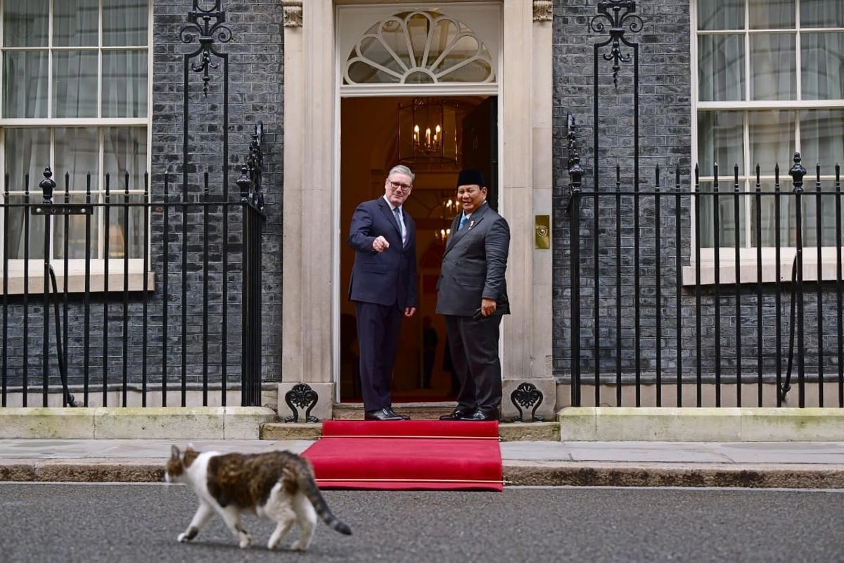 Momen Prabowo Bertemu Larry the Cat Saat Sambangi Kantor PM Inggris