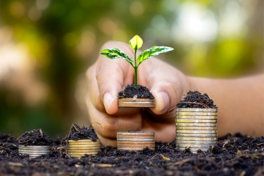 Pasar Asia Tarik Minat Investor Dunia