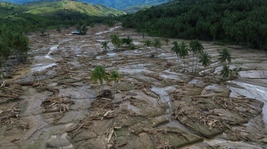 Usai 28 Izin Dicabut, Greenpeace Tagih Transparansi Pemerintah Tertibkan Kawasan Hutan