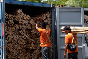 Bea Cukai Gagalkan Penyelundupan 58,3 Ton Ekspor Rotan Tujuan China