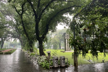 RTH Jakarta Baru 5,31 Persen, Taman Kota Dinilai Belum Jadi Penyangga Ekologis