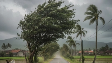 BMKG Keluarkan Peringatan Dini Angin Kencang 24-25 Januari, Wilayah Mana yang Terdampak?