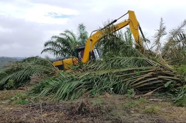 Izin 28 Perusahaan Langgar Kawasan Hutan Dicabut, DPR: Bentuk Perhatian Serius Pemerintah