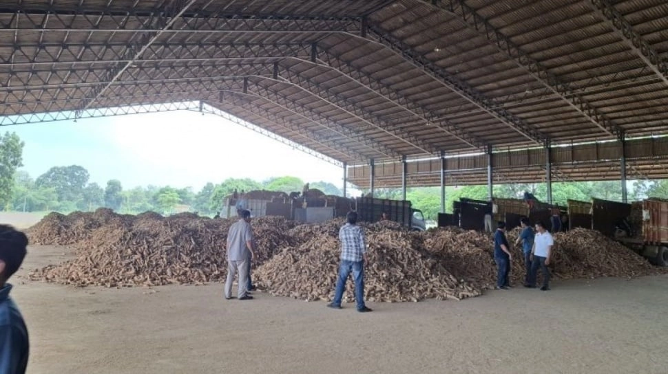 Impor Tapioka Masih Tinggi, Pengusaha: Bukan Karena Stok Kurang, Tapi Harga Lebih Murah