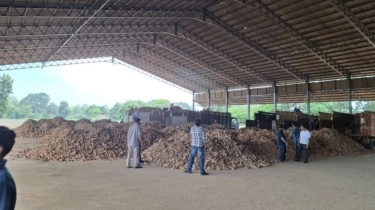 Impor Tapioka Masih Tinggi, Pengusaha: Bukan Karena Stok Kurang, Tapi Harga Lebih Murah