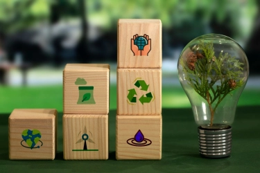 IBC: Green Economy Mesin Pertumbuhan Baru, Tapi Belum Digarap Optimal