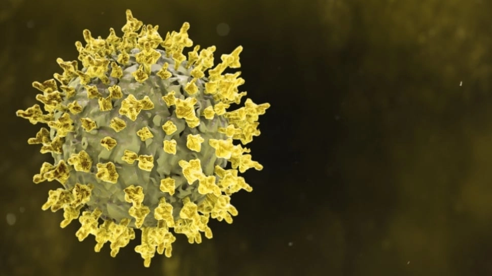 Cara Mencegah Terpapar Virus Nipah: Kenali Gejala dan Langkah Pencegahannya