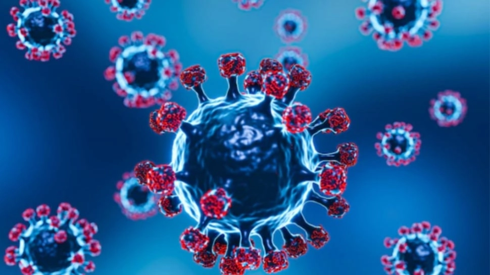 Waspada Virus Nipah: Penyebab, Gejala, dan Cara Pencegahan yang Penting Diketahui