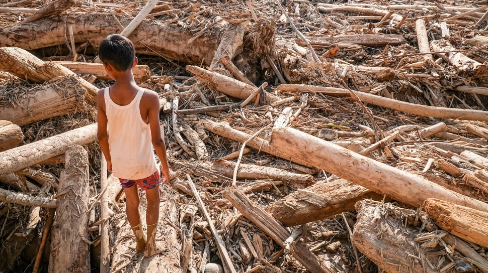 Cabut Izin 28 Perusahaan Pascabencana, Auriga Nusantara Nilai Pemerintah Cuma Gimmick