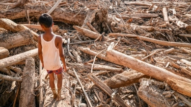 Cabut Izin 28 Perusahaan Pascabencana, Auriga Nusantara Nilai Pemerintah Cuma Gimmick