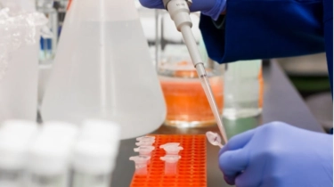 Indonesia Diminta Tiru Thailand Dalam Antisipasi Virus Nipah