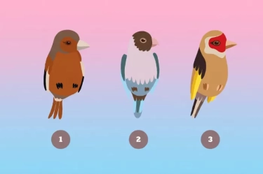Ingin Tahu Penilaian Orang Lain Terhadap Diri Anda? Pilih Salah Satu Gambar Burung Berikut Hanya dalam Beberapa Detik Saja