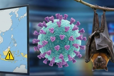 Virus Nipah Jadi Sorotan Global, IDAI Tegaskan Indonesia Masih Nol Kasus Manusia