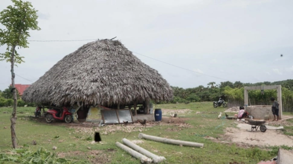 Menjemput Air di Jantung Kebun, Ikhtiar Desa Lobohede Sabu Raijua Lawan Krisis Iklim