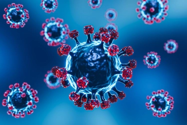 Apakah Virus Nipah Bisa Jadi Pandemi? Ini Penjelasan Pakar IDAI