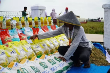 Pemerintah Pastikan Ketersediaan Bahan Pangan Pokok Aman dan Tercukupi Jelang Ramadan dan Idul Fitri