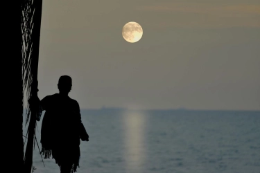 Ramalan Zodiak Februari 2026, Bulan Purnama Leo Bawa Perubahan Besar Cinta dan Karier