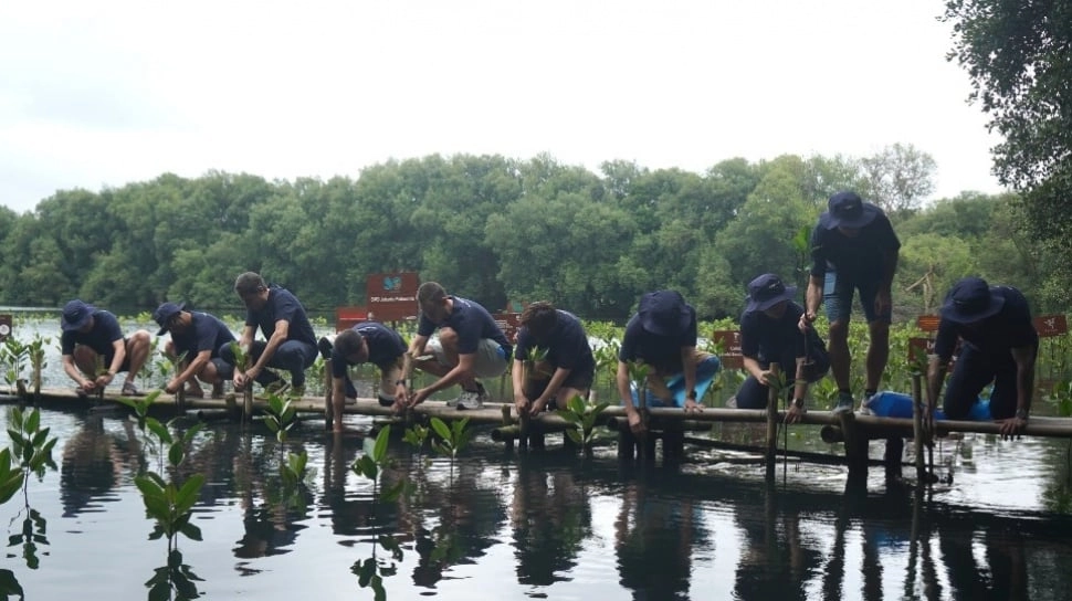 Menanam Mangrove, Menjaga Pesisir: Aksi Nyata Keberlanjutan di Tengah Ancaman Iklim