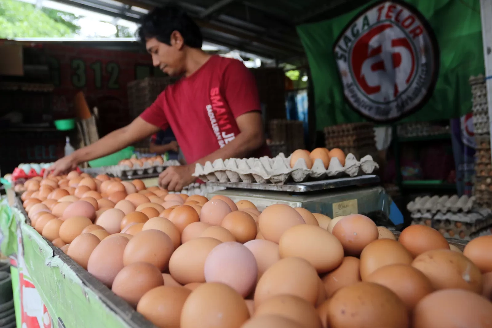 BPS Catat Deflasi 0,15 Persen pada Januari 2026, Dipicu Penurunan Harga Cabai hingga Telur Ayam