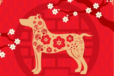 Cek Peruntungan Shio Anjing di Tahun Kuda Api 2026