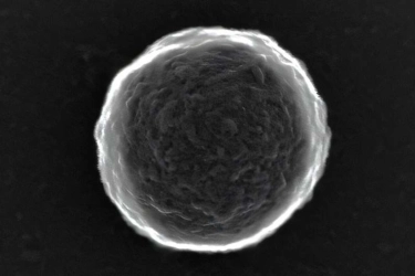 Ilmuwan Kembangkan Bubble Bots, Mikrorobot untuk Mengirim Obat ke Titik Tumor