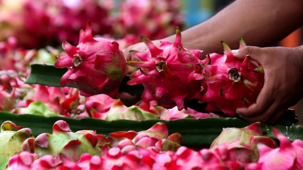 Klasterku Hidupku BRI Jadi Penggerak UMKM Panaba Banyuwangi