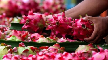 Klasterku Hidupku BRI Jadi Penggerak UMKM Panaba Banyuwangi