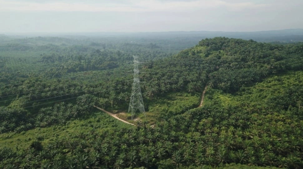 Industri Sawit RI Sumbang Output Rp1.119 Triliun dan Serap 16,5 Juta Pekerja