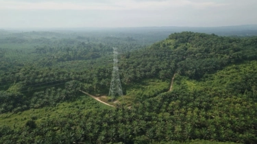 Industri Sawit RI Sumbang Output Rp1.119 Triliun dan Serap 16,5 Juta Pekerja