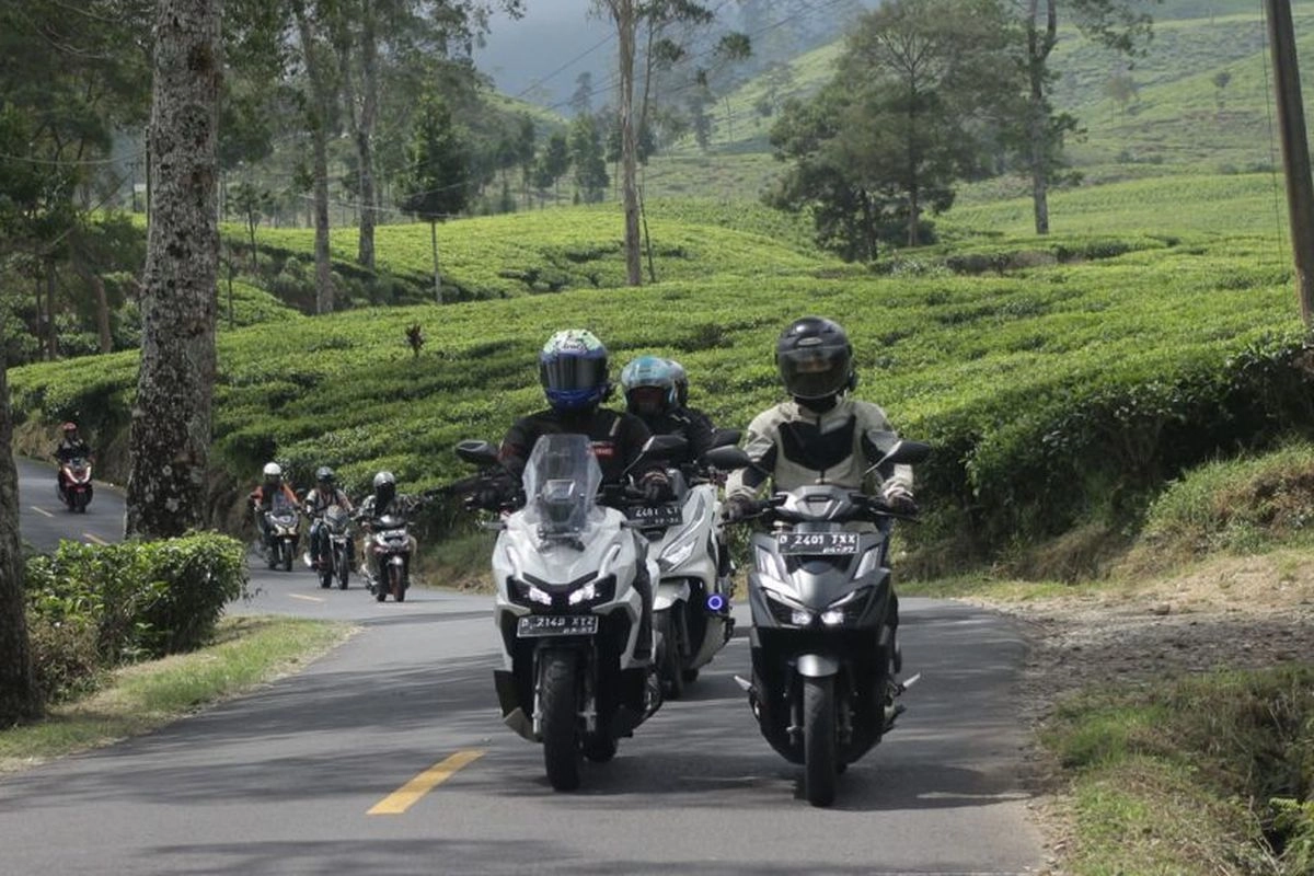 Tahun 2025 Jadi Puncak Orang Indonesia Bepergian, Tertinggi Sejak Pandemi