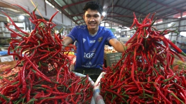 Harga Pangan Nasional Melandai, Cabai Rawit Merah Mahal Jelang Ramadan