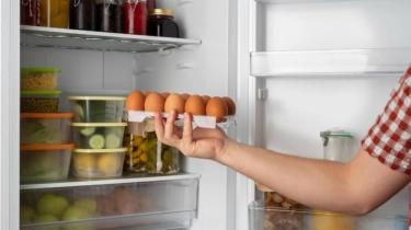 7 Rekomendasi Kulkas 2 Pintu Inverter Low Watt, Hemat Listrik dan Awet