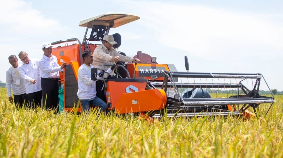 Panen Raya Perdana Padi Varietas PS-08 Bakal Digelar di Kabupaten Pandeglang