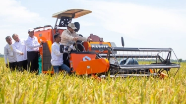 Panen Raya Perdana Padi Varietas PS-08 Bakal Digelar di Kabupaten Pandeglang