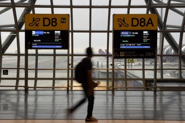 Sembunyikan Cula Badak dalam Daging, Pria Vietnam Ditangkap di Bandara