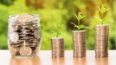 8 Tips Kelola Reksadana saat Pasar Turun agar Investasi Tetap Cuan