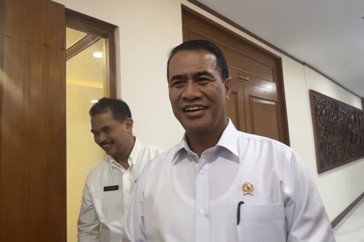 Harga Cabai Rawit Meroket, Amran Mau Bikin Aturan Lindungi Petani