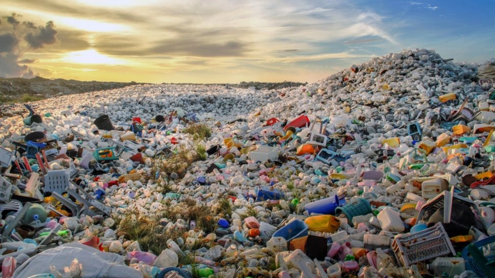 Hampir Separuh Laut Dunia Kini Tercemar Sampah: Apa yang Bisa Dilakukan?