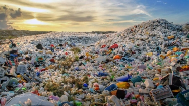 Hampir Separuh Laut Dunia Kini Tercemar Sampah: Apa yang Bisa Dilakukan?