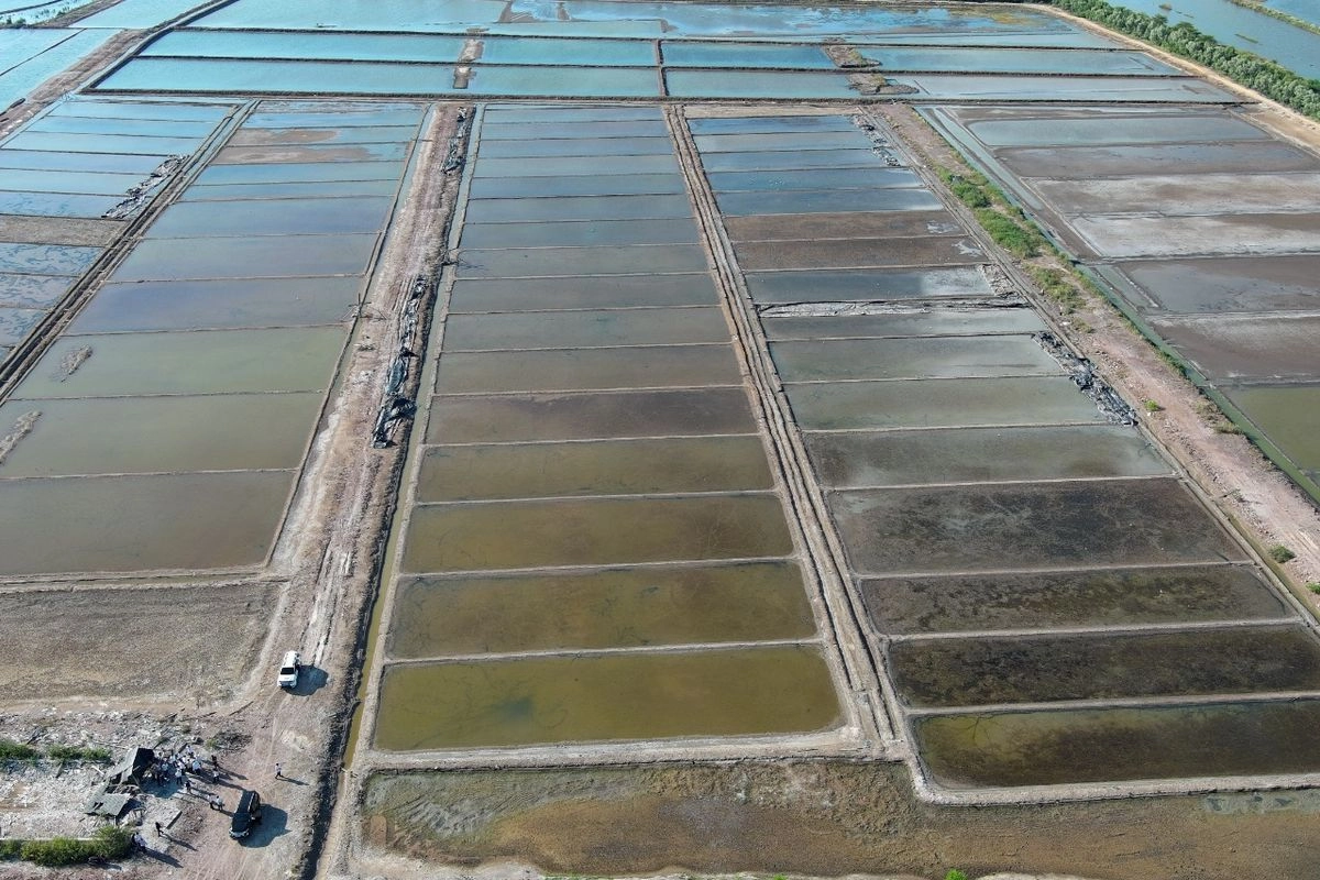 11.773 Hektar Tambak Garam di Rote Bakal Dikelola Swasta
