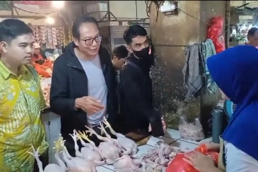 Pastikan Stok Daging Ayam Aman, Kementan: Harga di Bawah Harga Acuan Pembelian