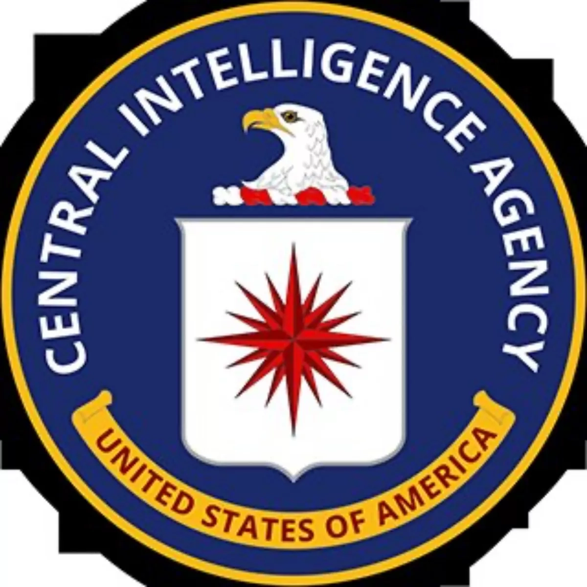 CIA Luncurkan Video Baru untuk Rekrut Perwira Militer China, Targetkan Dampak Pembersihan Internal