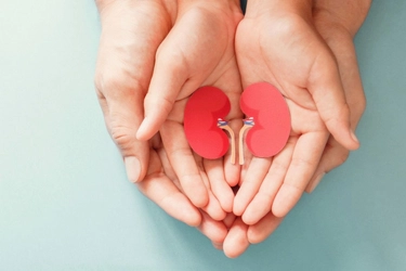 Syarat untuk Jadi Donor Ginjal Hidup di Indonesia, Ini Kriterianya