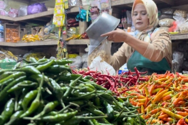 Bapanas Ungkap Penyebab Harga Cabai Tembus Rp 80.000 per Kg
