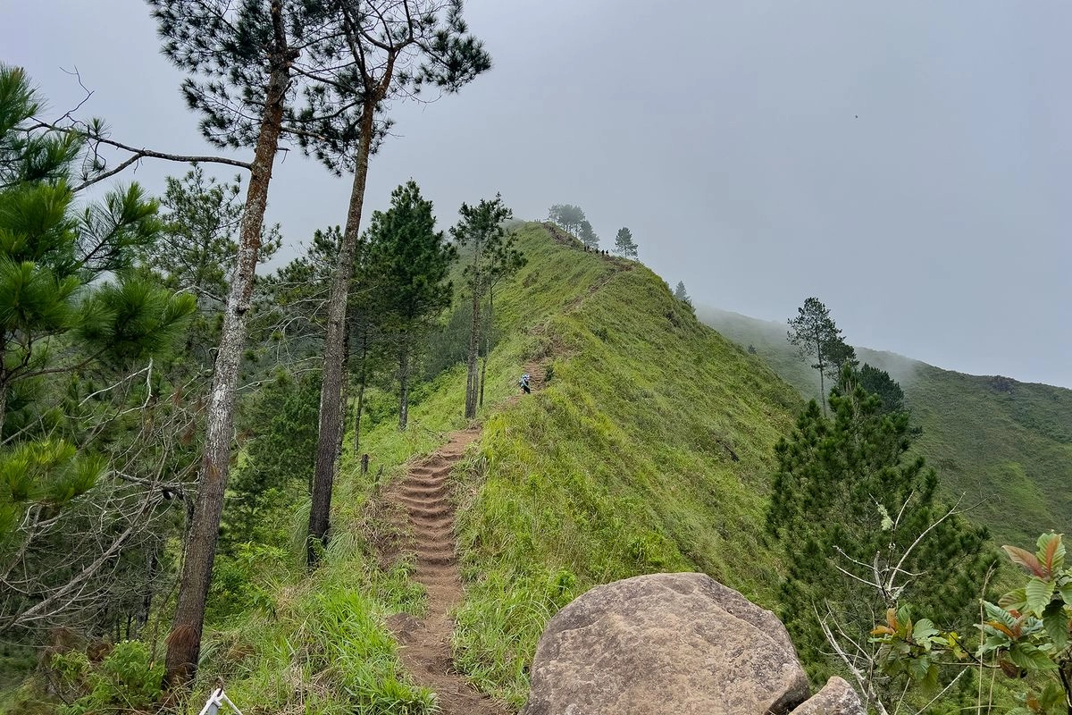 Mendaki Gunung Andong via Temu Kidul yang Lagi Ramai, Seperti Ini Kondisi Jalurnya