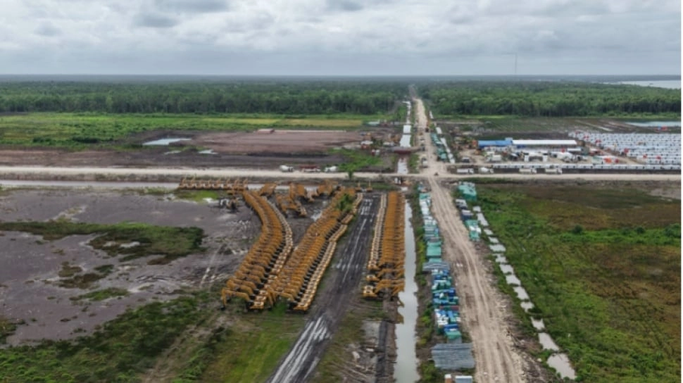 Keputusan Menteri tentang Hutan Papua Selatan Diprotes: Apa Dampaknya bagi Masyarakat Adat?