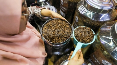 Tak Hanya Biji Mentah, Pemerintah Bidik Ekspor Kopi Olahan