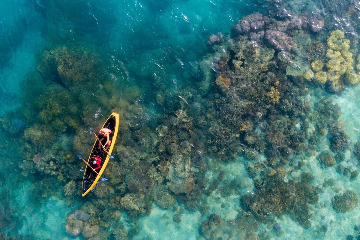 6 Wisata Alam di Jakarta untuk Healing Akhir Pekan, Mana Favorit Kamu?